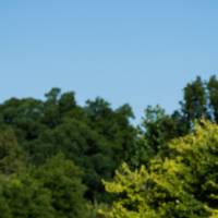 Alumni walking together.